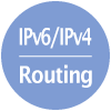 IPv6/IPv4 Routing